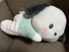 【新品・未使用品】ポチャッコ　ちるたいむBIGぬいぐるみ　〜ミントカラー〜