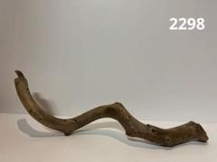 流木【2298】のサムネイル