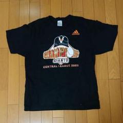 【新品未使用】読売ジャイアンツ優勝記念 オーセンティック Tシャツ ジャイアンツ巨人 2024年セリーグ優勝記念オーセンティックT