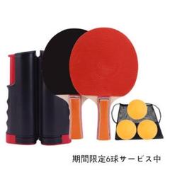 卓球ネットラケット×2本伸縮ネット×1 ボール×6個収納袋付き