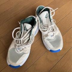 ズームフリーク