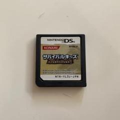 サバイバルキッズ 小さな島の大きな秘密⁉︎ DS ソフト ソフトのみ
