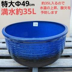 新品　∅51　陶器　睡蓮鉢　特大　難有　メダカ鉢　水色　ブルー　ルーバー　LWC 新品∅51陶器睡蓮鉢特大難有メダカ鉢水色ブルールーバーLWC