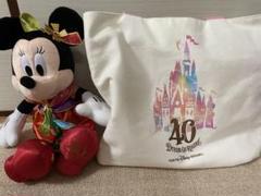 ❤️ディズニー❤️ディズニーランド40周年❤️ミニーぬいぐるみ＆トートバッグ❤️