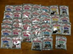 ロイヤルカナン 小型犬用 50g×7種類