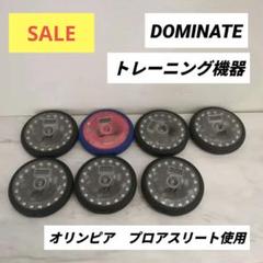 DOMINATEリアルタイム・スピードシステム（正規品）