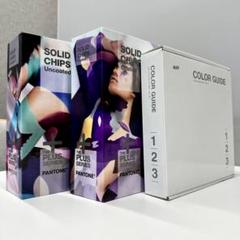 トップブランドのファッション DIC + CHIPS SOLID PANTONE 色見本張 メルカリ - デザイナー必須 写真・グラフィック