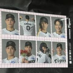 2025年最新】阪神木浪の人気アイテム - メルカリ
