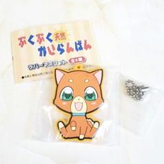 希少 レア✨ちゃお　ぷくぷく天然かいらんばん　Tシャツ　平成レトロ 超希少！美品 一部未開封】1999年2000年ちゃお付録セット 天使な