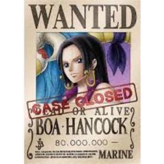 ONE PIECE、ワンピース、ハンコック、フィギュア、キャンパスポスター、額縁 ワンピース ボア ハンコック 額縁 ガレージキット フィギュア