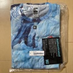 Supreme The North Face Ice Climb Tee