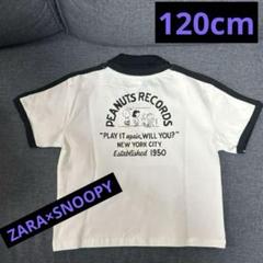 新品　ZARA スヌーピー　ポロシャツ　120cm ザラキッズ　ユニセックス