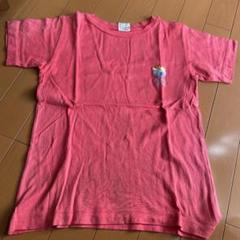 【訳あり】ALBA ROSA Tシャツ