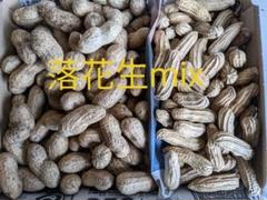 千葉県産 無農薬栽培 おおまさり700g&黒落花生300g詰め合わせ