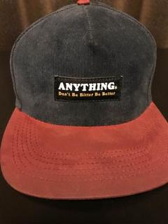 aNYthing Panel Capのサムネイル