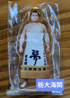 未開封 大相撲 大の里 尊富士 アクリルスタンド A4ステッカーシート セット 4/2(火)更新 デザイン公開】新商品発売のお知らせ 三月場所