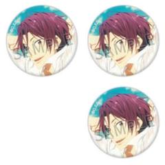 男性に人気！ Free! ES IWATOBI KIDS 缶バッジセット 遙 真琴 渚