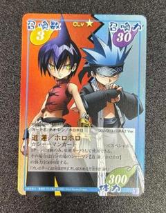 シャーマンキング　スペシャルレア　セット スペシャルレアセット シャーマンキング 超・占事略決 - メルカリ