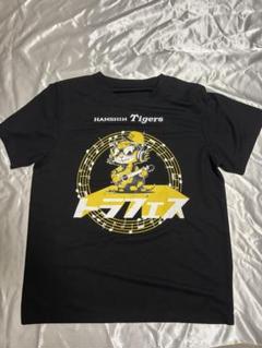 甲子園ジオラマ模型×トラフェスTシャツ 甲子園ジオラマ模型×トラフェスTシャツ 阪神タイガース 虎フェス