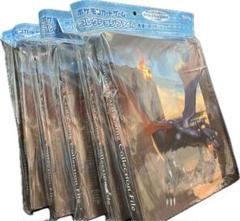 【未開封品】ポケモンカードゲーム コレクションファイル 色違いのリザードン 5個 Amazon.co.jp: ポケモンカードゲーム コレクションファイル 色