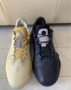 ボーラホリック　ballaholic NOVA SURGE LOW