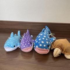 亀のぬいぐるみ(リオネル・メッシ愛用)新品傷無しハワイ産