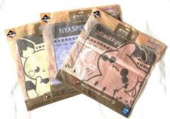 【ポケモン】ポケピース 一番くじ ハンドタオル 3種　おまとめセット