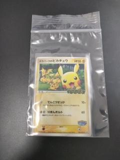 ポケパークのピカチュウ PROMO PCG-Pプロモカード 043/PCG-P