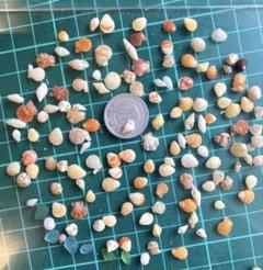 天然貝殻　素材　小さい貝殻　微小貝のカラフルアソート