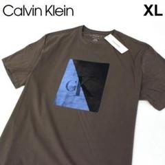 USA限定【Calvin Klein】カルバンクライン■Tシャツ/CT64XL