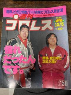 週刊プロレス 1996年12月3日 No.766 - メルカリ