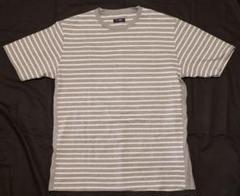 CASH CA カシュカ　ボーダーカットソー　XL