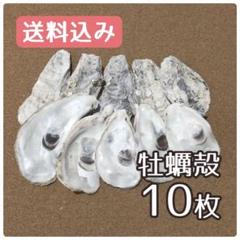 牡蠣殻 メダカの中古 未使用品 メルカリ