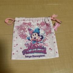 東京ディズニーランド　ミニーパルパルーザ　巾着袋