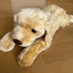 トイザらス ゴールデンレトリバー 特大ぬいぐるみ Amazon.co.jp: トイザらス ゴールデンレトリバー 特大