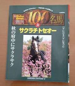 名馬100 56冊 2025年最新】名馬100の人気アイテム - メルカリ