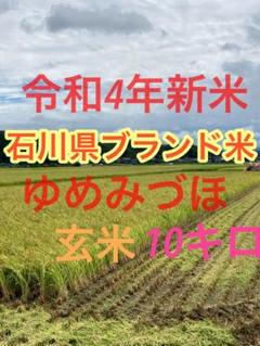 白米25kg令和3年産丹波篠山産【食味検査S・最上位獲得米】 - メルカリ