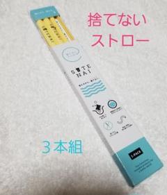 新品 SUTENAI(ステナイ)シリコンストロー 3本組