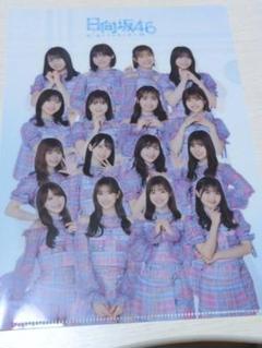 2025年最新】グループ名：日向坂46 クリアファイルの人気