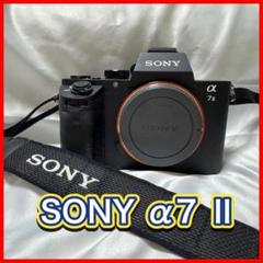 2025年最新】sony α7 ii ILCE-7M2の人気アイテム - メルカリ