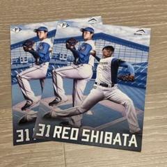 ファイターズ プロ初先発証明書 柴田獅子 2枚セット
