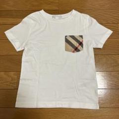 バーバリー　半袖Tシャツ