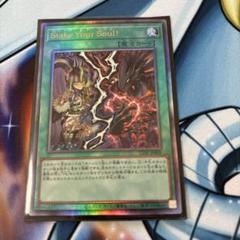 遊戯王 120枚 ステイクユアソウル スリーブ 限定 絶版 VS VSK9 遊戯王 - 遊戯王 Stake Your Soul !ステイクユアソウル 3枚