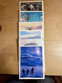 レア　パタゴニア　カタログ　2007年3冊セット 3 Patagonia Japanese Catalog Brochure 2007 B | eBay