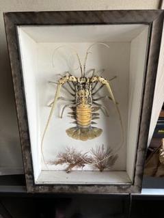 鰯金属化イワシ金属化イセエビ伊勢海老作品フィギュア置物工芸