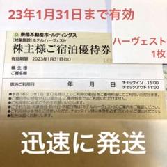 ホテルアルファーワン 無料宿泊 ビジネスパスポート100ポイント α-1 製作元直販 ホテルアルファーワン 無料宿泊 HOTEL α-1 宿泊キャッシュバック100% 宿泊券