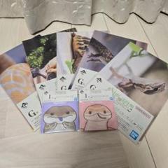 一番くじ 爬虫類&両生類 クリアファイル&ステッカーセット ジッパーバッグ