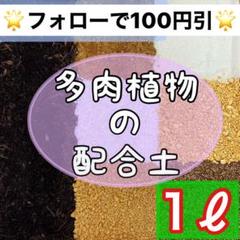 ⭐︎庭屋が作った多肉配合土⭐︎ 1ℓ 多肉植物 サボテン 挿木 種まき 魂根植物