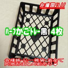 ハーフかごトレー 白 8枚 A4サイズ♪他 プラ鉢 プレステラ 多肉