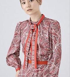 ＼半額SALE／ 新品タグ付】ANAYI ペイズリースカーフプリントボウタイ 24AW トップス